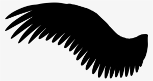Wing, Silhouette - Asas Pretas Em Png