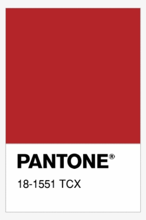 Colore Pantone® 18-1551 Tcx Aura Orange - Pantone Universe Placemat Tangerine Tango - 17-1463