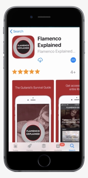 Flamenco Explained Ios App - Flamenco Explained Llc
