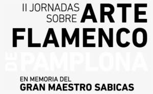 2nd Congress “jornadas De Arte Flamenco Of Pamplona” - Isso Aqui É Flamengo Png