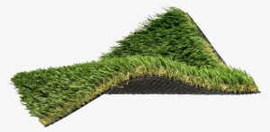 Northwest Inspired - Lawn