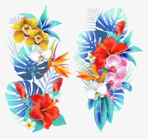 Tropical, Medellin, Flowers, Fair Of Flowers, Field - Fleurs Des Iles Dessin