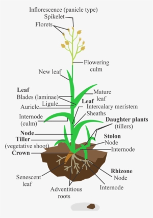 D - \24 - 10 - 2016\jayesh\1 - Portable Network Graphics