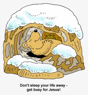 Hibernating Bear - Bear Hibernation Clipart