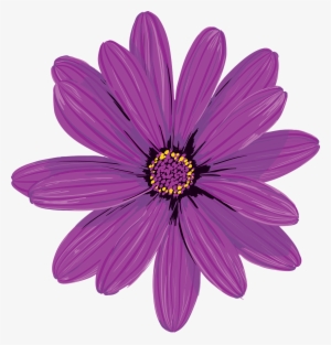 Garden, Flower Nature Plant Flora Pink Field Garde