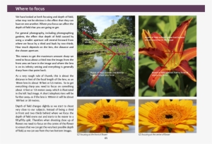 Joomla Plugins - Sunflower