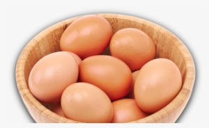 Egg