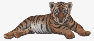 Tiger Cub Jungle Animals Wall Decal Sticker - Walls Of The Wild Cubs Combo Pack