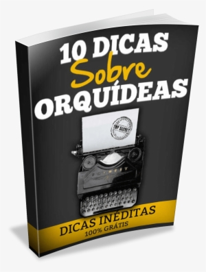 10 Dicas Sobre Orquídeas Bônus No Final Guia Definitivo