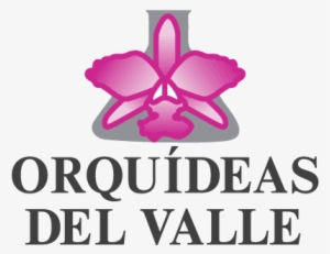 Orquideas Del Valle