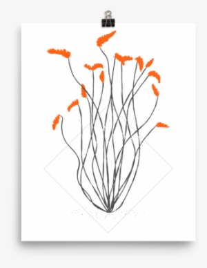 “ocotillo” Print - Sonoran Desert