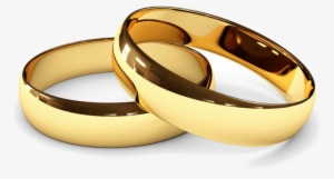 Anillos - Spousonomics: Or How To Maximise Returns