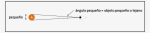 Al Observar Un Objeto Pequeño O Lejano, Los Rayos De - Rayos De Luz Objeto Cercano