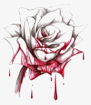 Red Rose Blood Bloody Bloodyrose Silhouette Rosesilhoue - Bleeding Rose Drawing