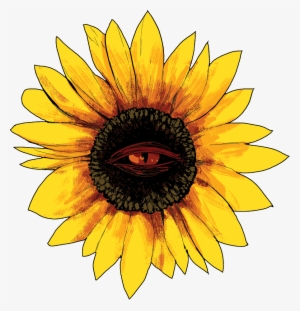 “ Enhancing The Creepy Factor In My Art Tonight Via - Common Sunflower