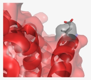 In The Beta Globin Chain - Illustration - 1146x687 PNG Download - PNGkit