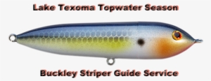 Texoma Topwater Season - Season