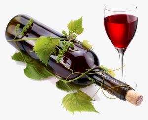 Tomar Una Copa De Vino Tinto Al Día Puede Hacer Mucho