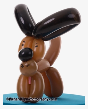 Balloon Models Dog - Balloon Modelling