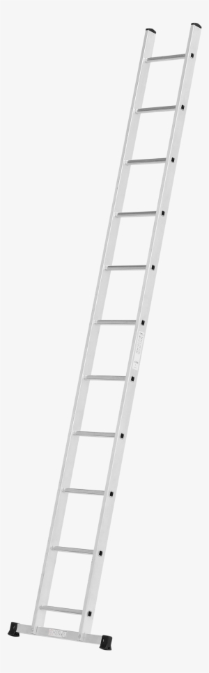 Rung Leaning Ladder - Ladder
