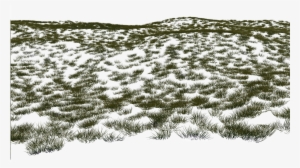 Grass B Flat 3 (for Permeable Ground Covers) - Snow