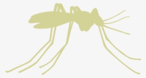 Mosquito Control - Mosquito Free Vector