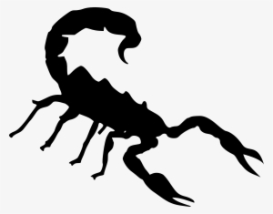 Scorpion Insect Silhouette Sting - Covered Like A Hurricane - A Tribute To Scorpions