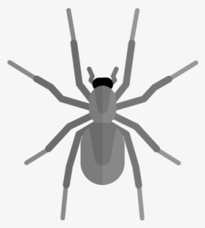 Diy Pest Control - Pest