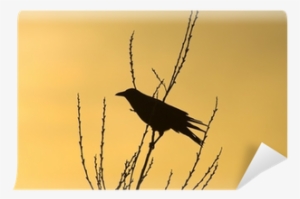 Crow