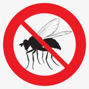 Fly And Mosquito Control - Don T Swim In The Lake