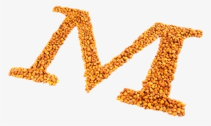 Im1 - Maize