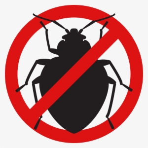 Bed Bug Control - Bed Bug Vector