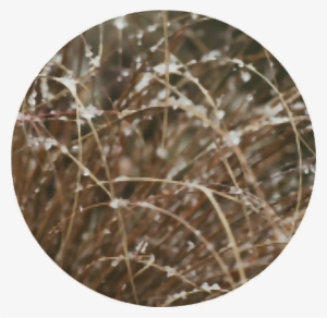 Snow Grass Brown Circle Aesthetic Aestheticcircle - Instagram