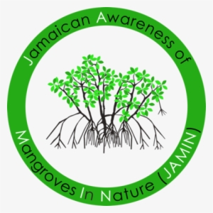 Jamaica Awareness Of Mangroves In Nature - Mangroves Tree Clip Art