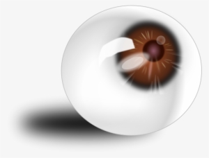 Eyeball Brown Png Images - Eye