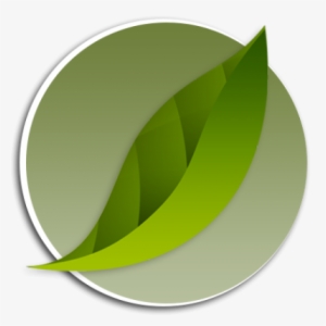 Mangrove, Qaram, Showra - Qatar