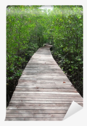 Boardwalk