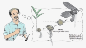 Read More About Our Key Educational Programs Around - Sketch