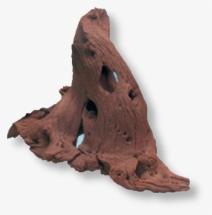 <img H137/56511 " Alt=""> - Jbl Mangrove Roots