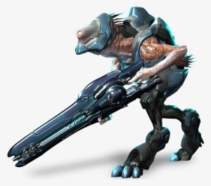 Jackal - Kig Yar