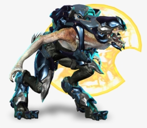 Jackal Major Vs Jackal Heavy - Halo 4 Kig Yar