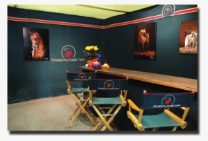 Custom Stall Drapes And Accessories - Horse Stall Curtain