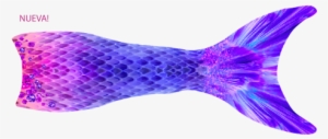 Next - Fish
