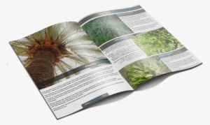 Get Your Free E-book