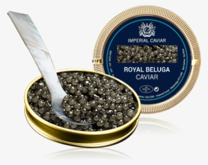 Beluga Caviar