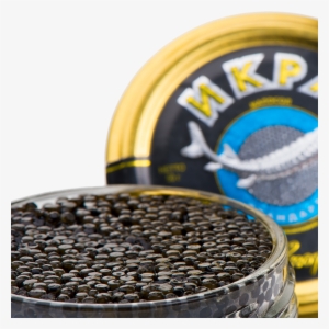 Standard Oscietra - Ossetra