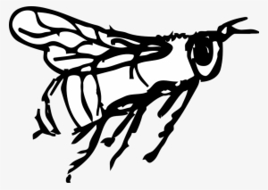 Bee Flying Stripes Wings Insect - รูป แมลง ลาย เส้น