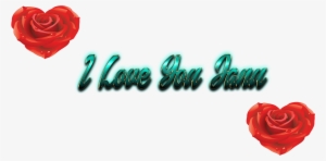 I Love You Janu Name Png Names - Love You Jaan Name