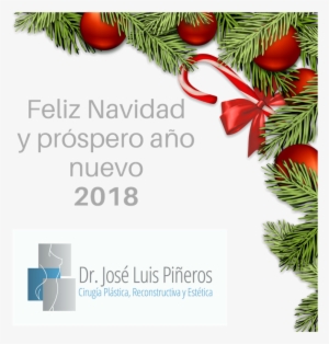 Feliz Navidad Y Próspero Año Nuevo - We Are Close On Christmas Day