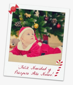 Feliznavidad - Feliz Navidad Bebe